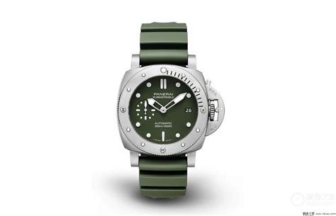 pam01055